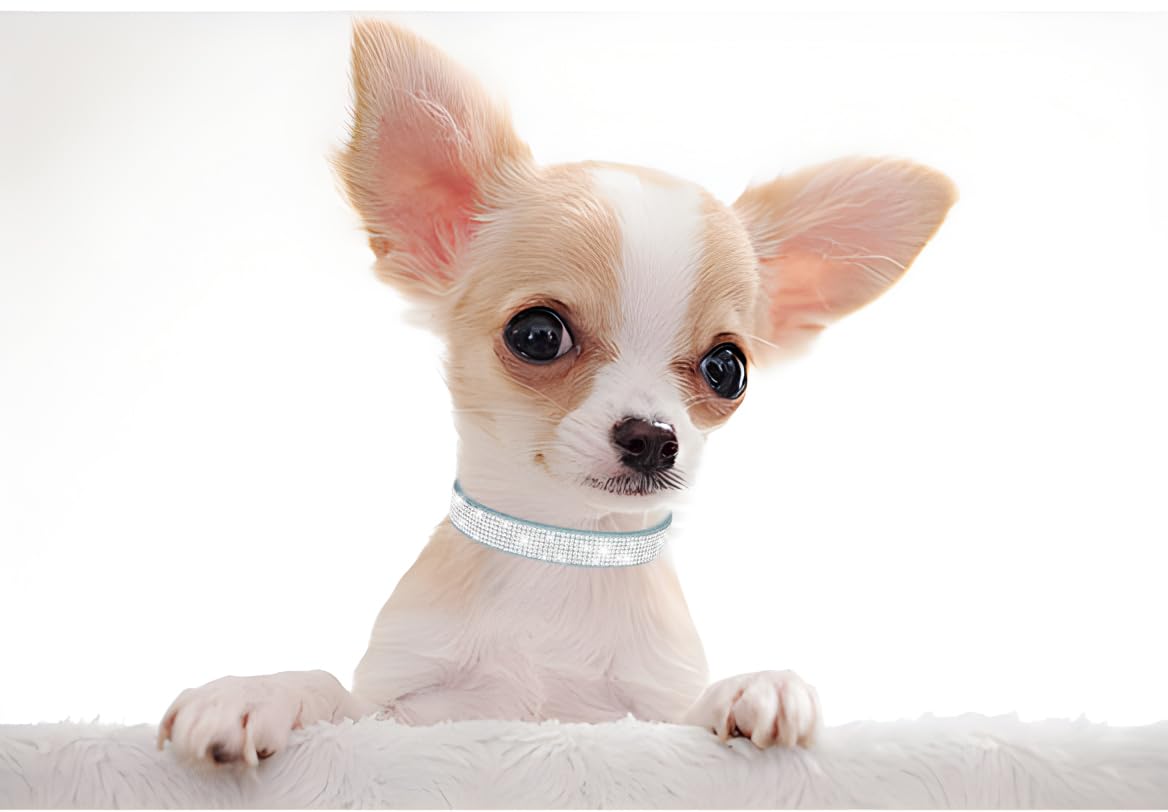 Blue Diamond Cat Collar, Bling Dog Collar Girl Rhinestone Puppy Collar Female Sparkly Sparkle Jewelry Cute Adjustable For Xxs Xs