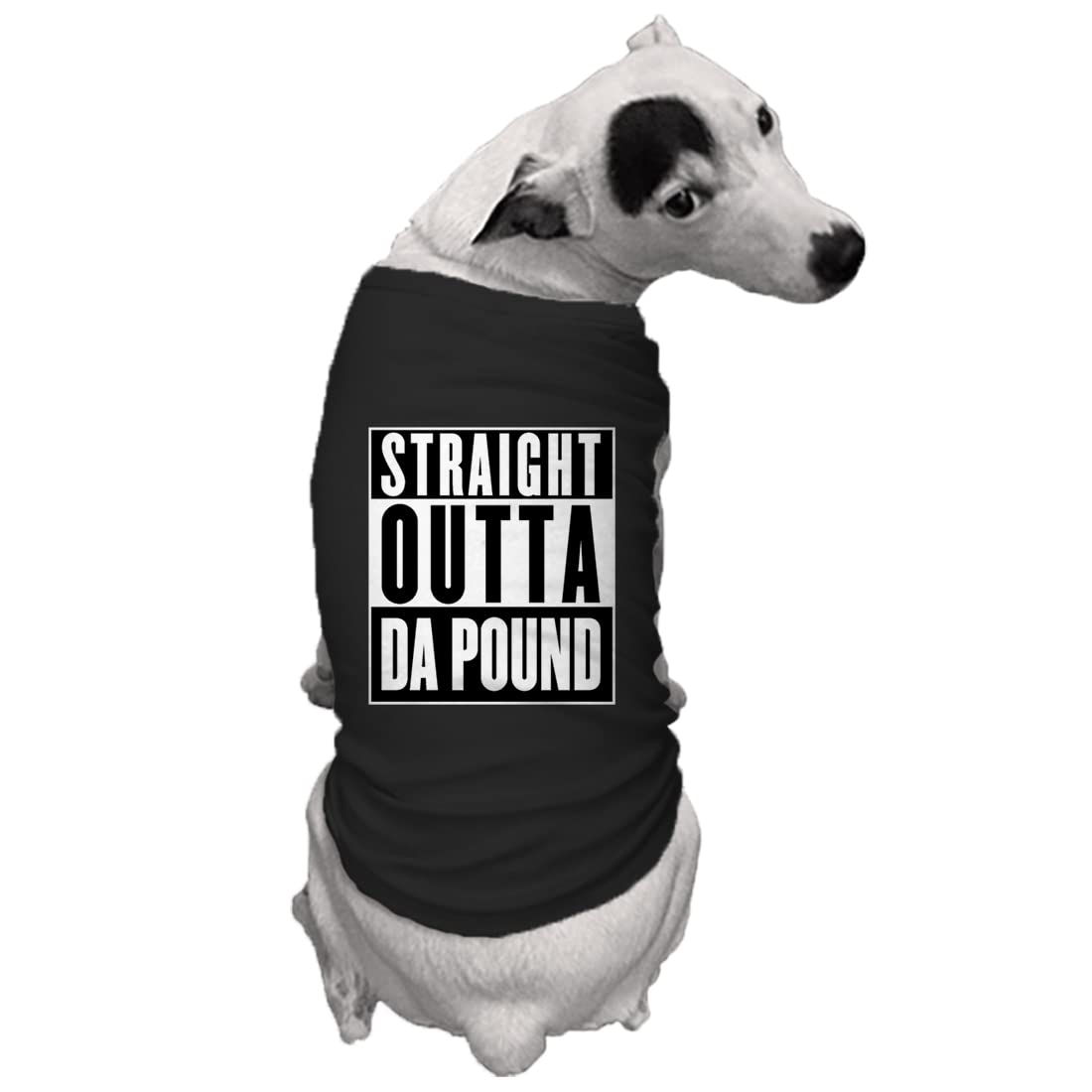 Straight Outta Da Pound - Rescue Dog Shirt (Black, 2X-Large)