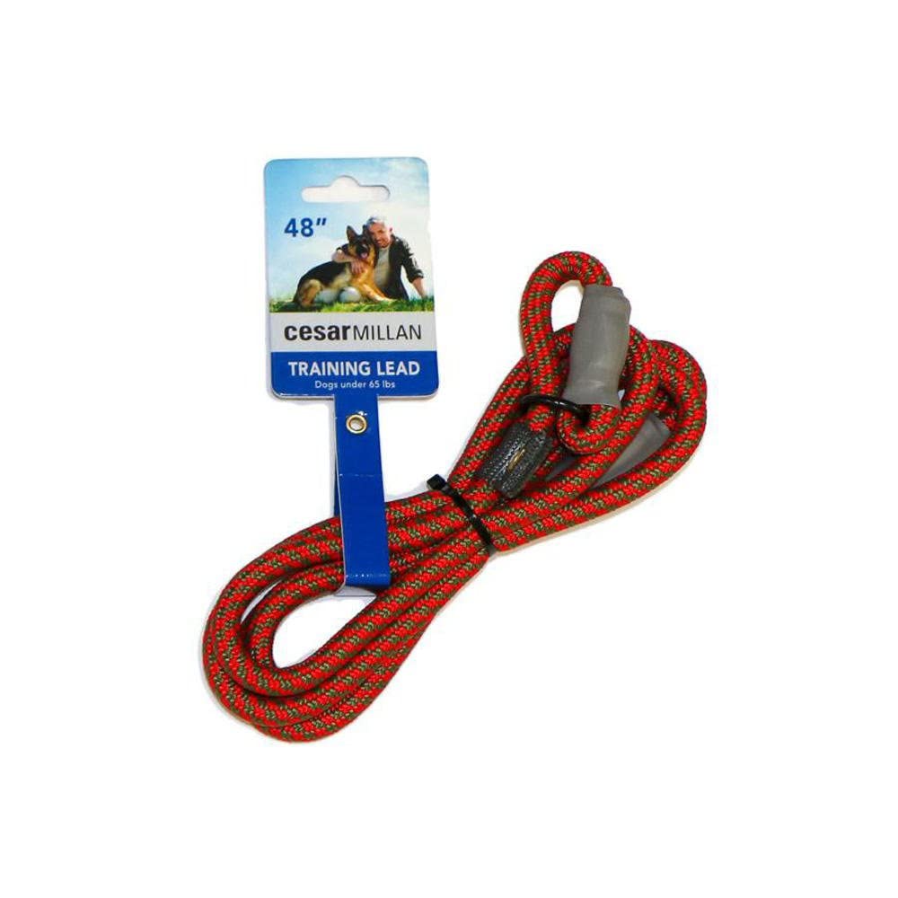 Cesar Millan Slip Lead Leash™ - 2-In-1 Slip Collar Dog Training Lead & Collar | Heavy Duty Durable Weatherproof Rope Leash, No Pull Training | Length 4Ft Diameter 4/10”(Regular, Red/Olive)