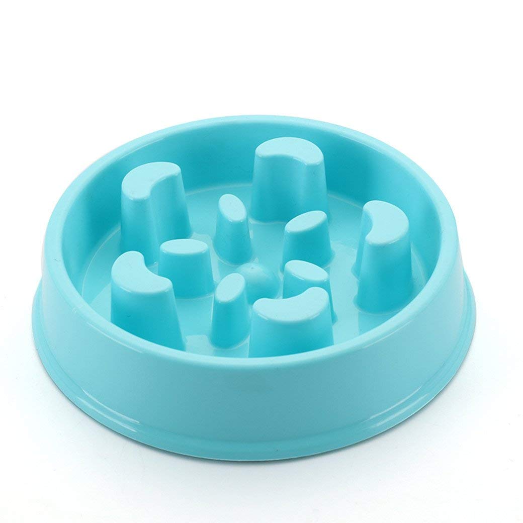 Woofy Slow Feeder Plastic Bowl, Non Slip And Durable Tray Fun Feeder Interactive Bloat Stop Dog Bowl (Sky Blue)
