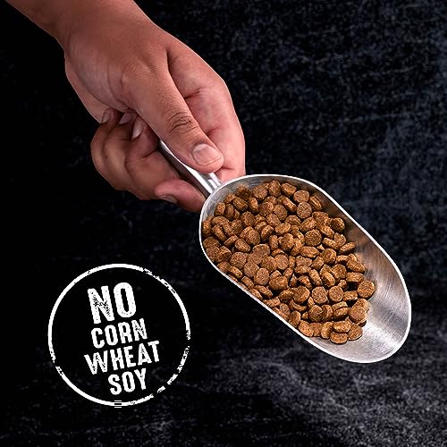 CRAVE Grain Free High Protein Dry Dog Food, White Fish & Salmon, 12 lb. Bag