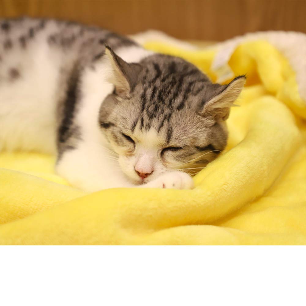 Furrybaby Premium Fluffy Fleece Dog Blanket, Soft And Warm Pet Throw For Dogs & Cats