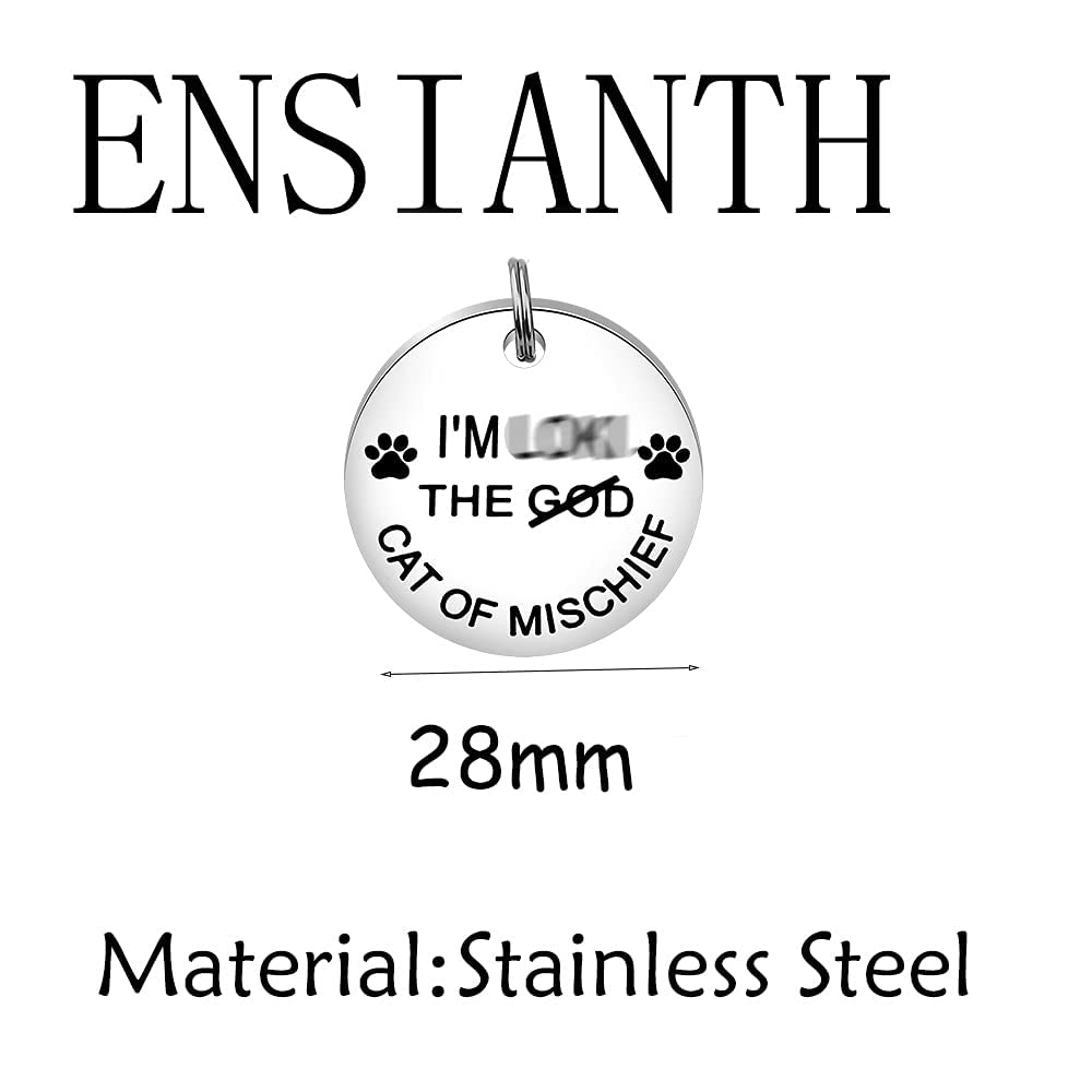 Ensianth Pet Collar Tags Cat Of Mischief Gift Cat Id Tags Cat Owner Gift Pet Id Tags Cat Lady Gift (Cat Of Mischief)
