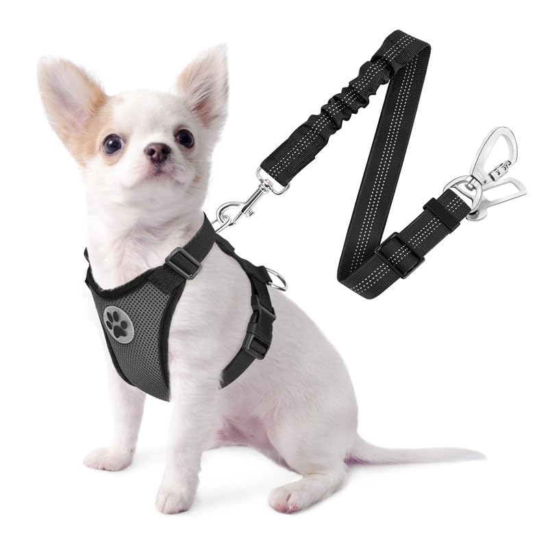 Slowton Dog Seat Belt Harness For Car, Dog Car Harness Adjustable Mesh Breathable & Dog Seatbelt Safety Tether With Elastic Bungee For Small Medium Large Pets(Grey, Double Clip, Xxs)