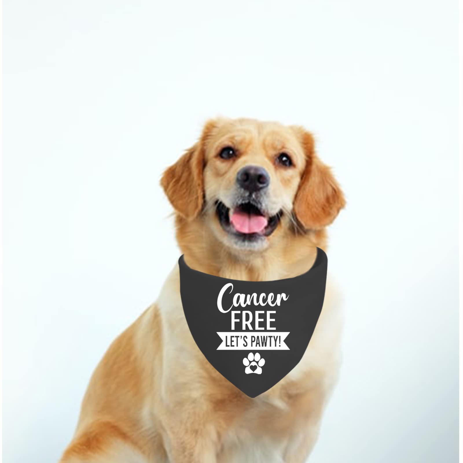 Jxgzso 1 Piece Cancer Free Dog Bandana I Beat Cancer Dog Bandana Cancer Survivor Dog Scarf (Cancer Free D)