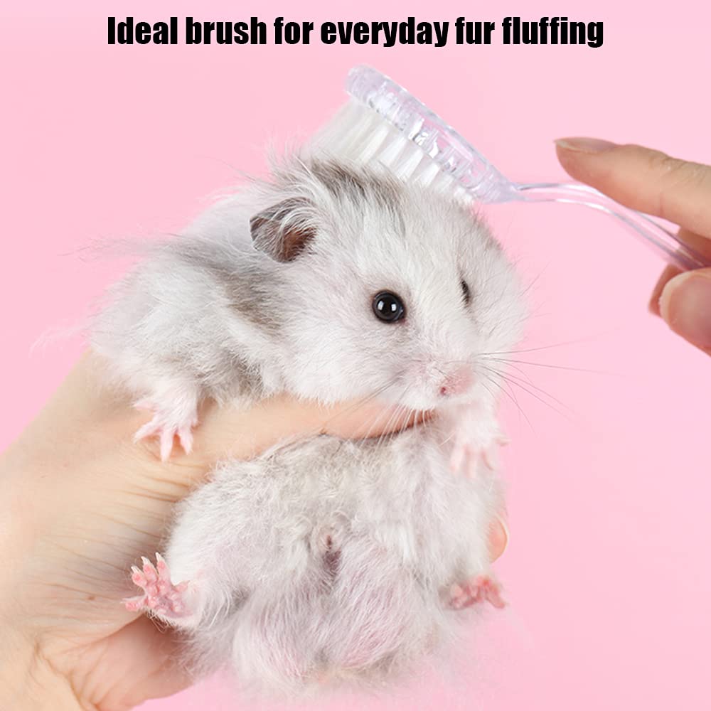 Woledoe 2 Pack Hamster Brush, Hedgehog Cleaning Supplies, Guinea Pig Massage Combs - Transparent