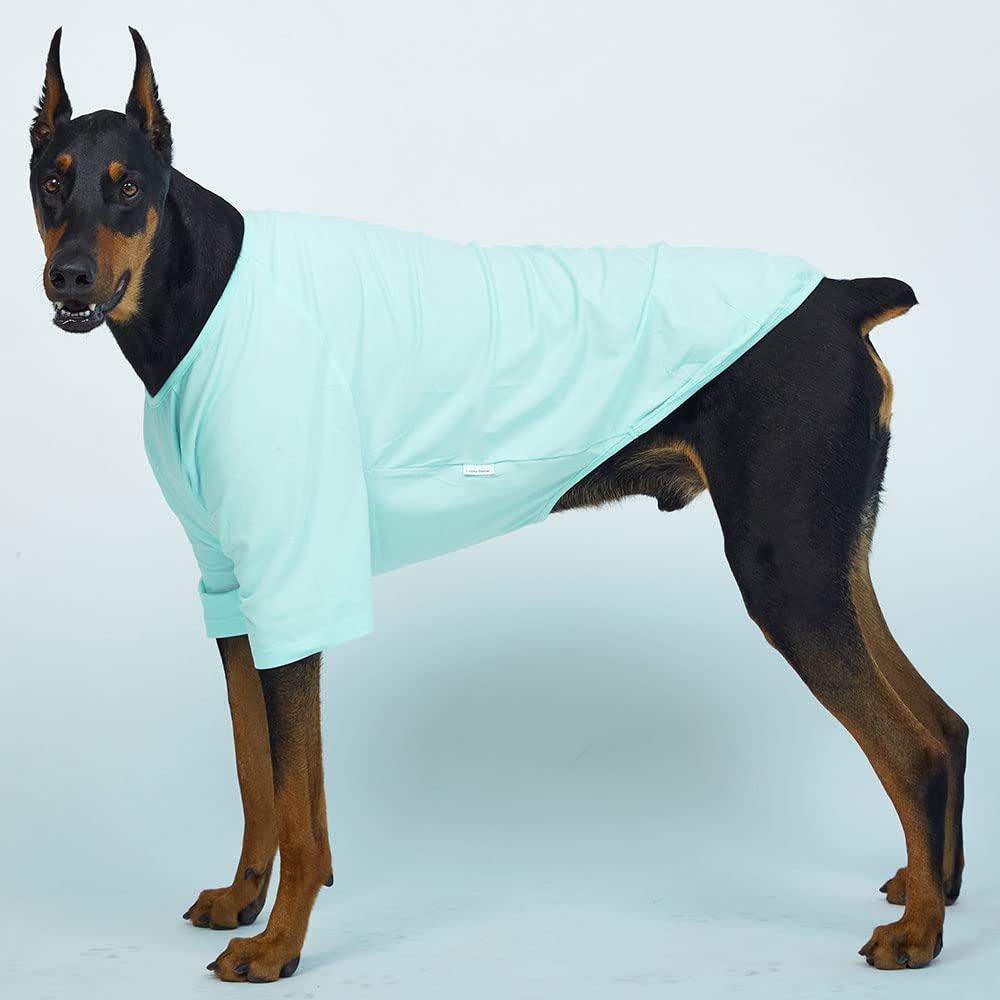 Lucky Petter Dog Shirt For Small Dogs Plain T-Shirts Soft Breathable Dog Cotton Shirt Pet Clothes (4X-Large, Mint)