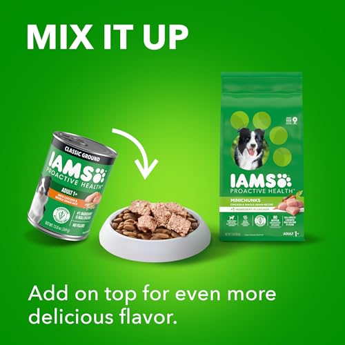 IAMS Proactive Health Adult Wet Dog Food Chicken Chunks in Gravy or Beef Chunks in Gravy, 13 oz. Cans (12 Count, Pack of 1)
