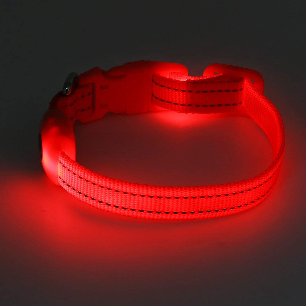 Domiglow Led Dog Collars Puppy Collar Usb Rechargeable Light Up Dog Collar Adjustable Reflective Pet Collars Keep Your Dogs And
