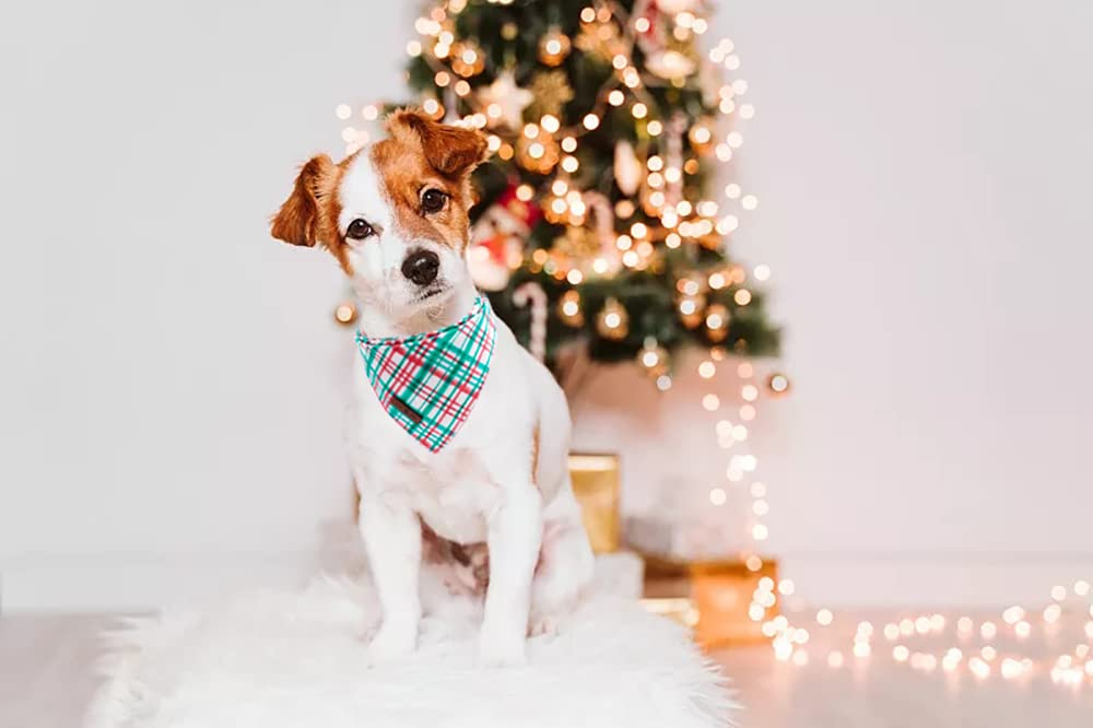 Lionet Paws Christmas Dog Bandana Washable Cotton Handkerchief Scarf Triangle Red Green Bandana For Small Medium Large Dogs Girl Boy Gift