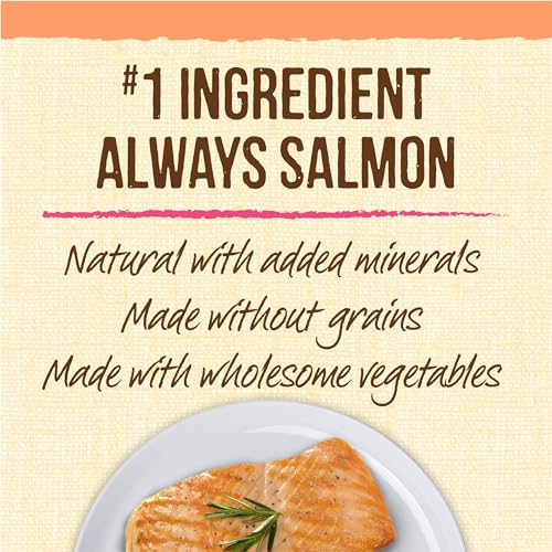 Merrick Lil Plates Small Salmon Recipe Grain Free Small Breed Dog Treats - 5 oz. Pouch
