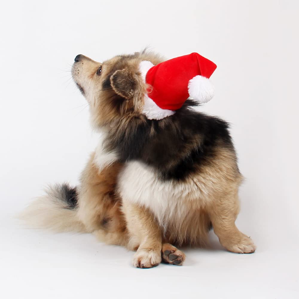 Adjustable 3D Christmas Santa Hat For Dogs Cats (Small)