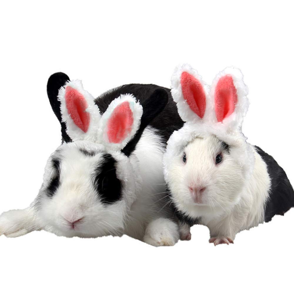 Aniac Easter Guinea Pig Outfit Warm Kitten Hat With Bunny Ears Plush Small Animal Head Accessories Easter Costume For Kitty Hams