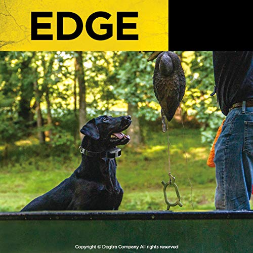Dogtra Edge Electronic Dog Training Collar With Remote For Large And Medium Dogs 35+ Lbs - Up To 1-Mile Range, Vibration, 127 St