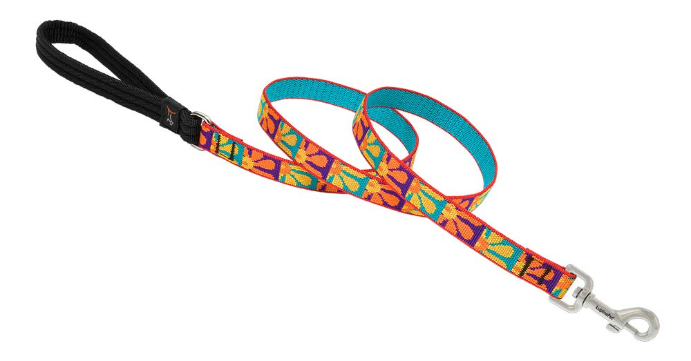Lupinepet Originals 3/4' Crazy Daisy 6-Foot Padded Handle Leash For Medium And Larger Dogs