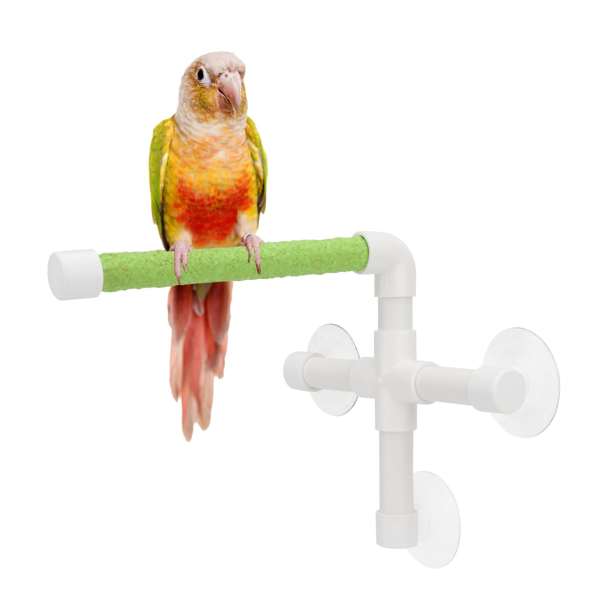 Hypeety Portable Suction Cup Bird Window And Shower Perch Toy For Bird Parrot Macaw Cockatoo African Greys Budgies Parakeet Bath