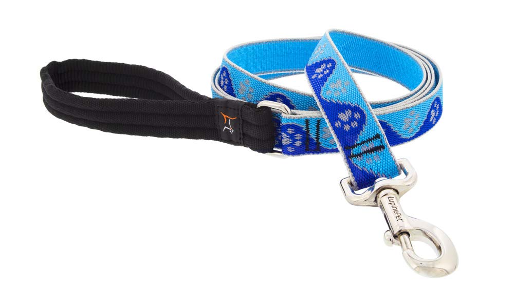 Lupine Reflective Dog Leash 4-Foot by 1'' Wide Blue Paws