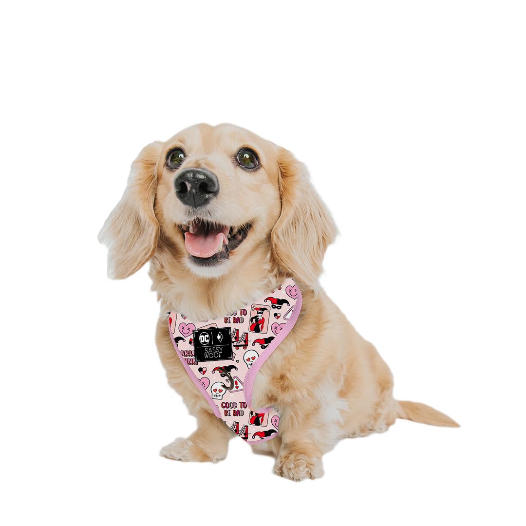 Sassy Woof Dog Adjustable Harness - Harley Quinn - Xs, Breathable Mesh, No Pull Design With Two D-Rings, Patented Design, Perfec