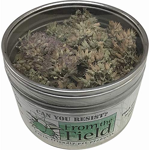 from The Field | Premium Whole Catnip Buds for Cats | Organic, USA-Grown, Fresh & Potent | Natural, Eco-Friendly Cat Treat for P