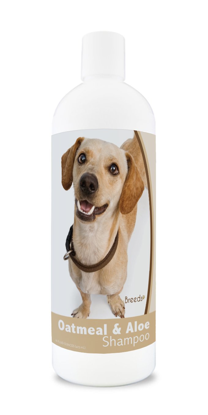 Healthy Breeds Chiweenie Oatmeal Shampoo With Aloe 16 Oz