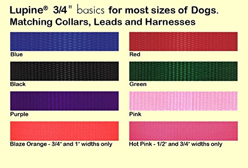 Lupinepet Basics 3/4' Purple 19-31' Containment Collar Strap For Extra Large Dogs