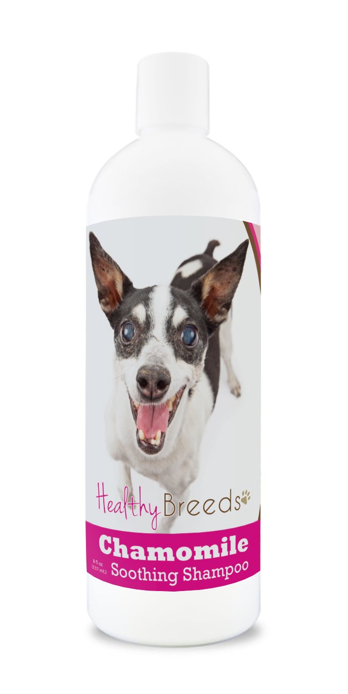 Healthy Breeds Rat Terrier Chamomile Soothing Dog Shampoo 8 oz