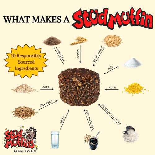 Stud Muffins 1045/1030 Stud Muffins Horse Treat, 45 Oz