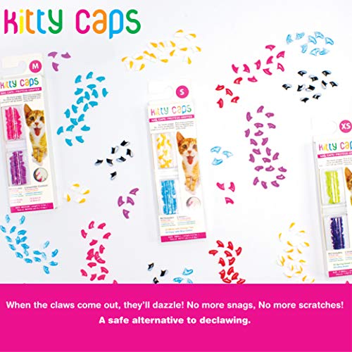 Kitty Caps Nail Caps for Cats  Safe, Stylish & Humane Alternative to Declawing  Stops Snags and Scratches, Large (13 lbs or grea