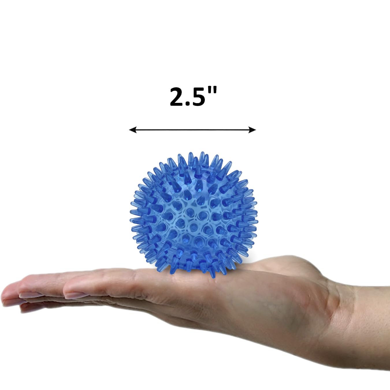 Cutie'S Petbox Squeaky Rubber Spike Toy Ball For Small Dogs (2.5 Inch, Blue)