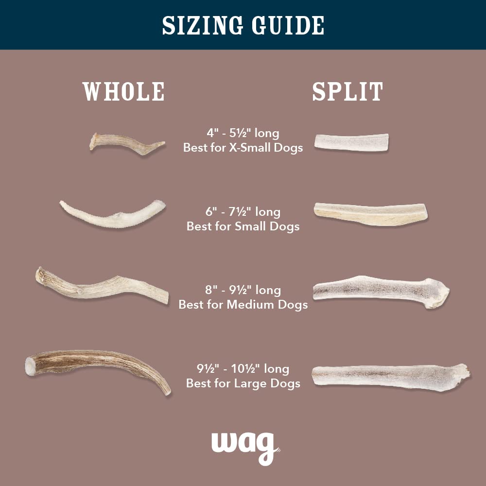 Amazon Brand - Wag Elk Antler - Whole - Long Lasting For Aggressive Chewers - Small 4-5.5 Inches (Best For Dogs Under 15 Lbs), 0