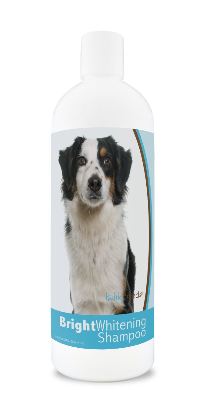 Healthy Breeds Miniature American Shepherd Bright Whitening Shampoo 12 Oz