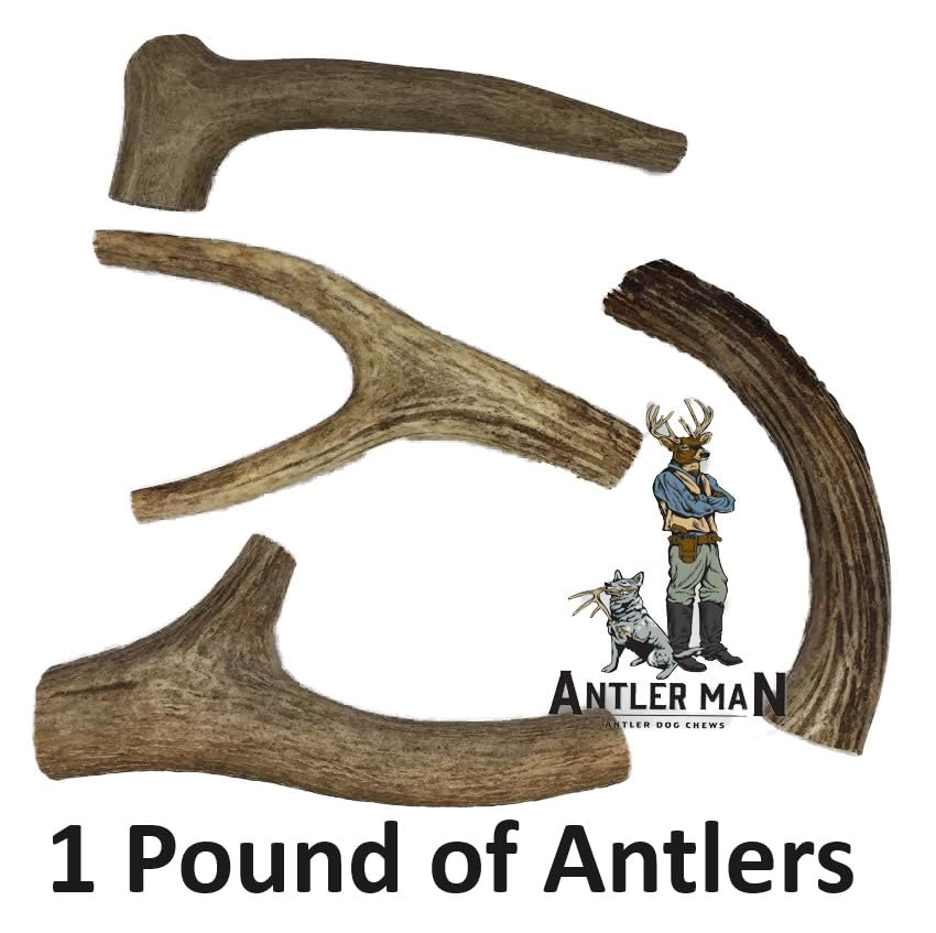 Antler Man Premium Deer Antler Pieces - Dog Chews - Sold by The Pound