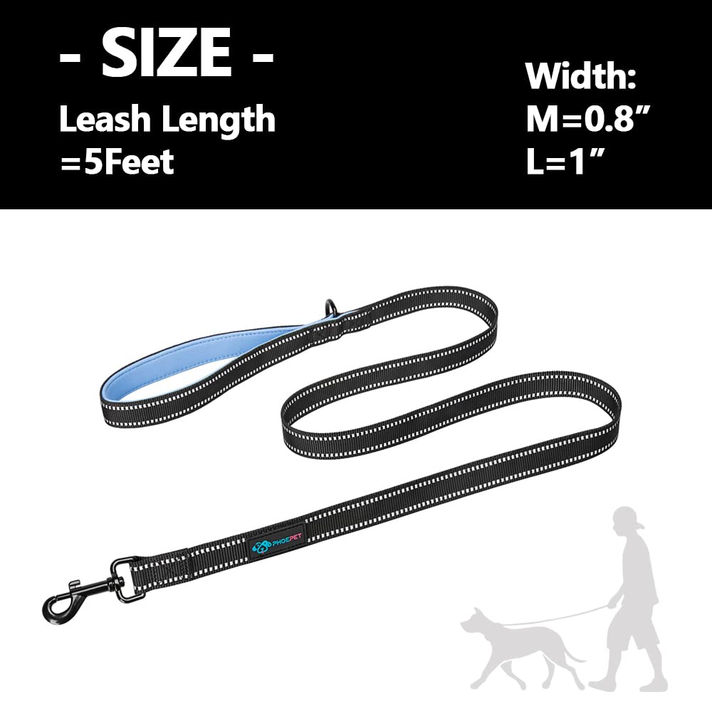 PHOEPET 5ft Dog Leash - Dual-Side Reflective, Soft Padded Handle, Grey & Mint Green - Ideal for Walking, Training, Hiking, Camping