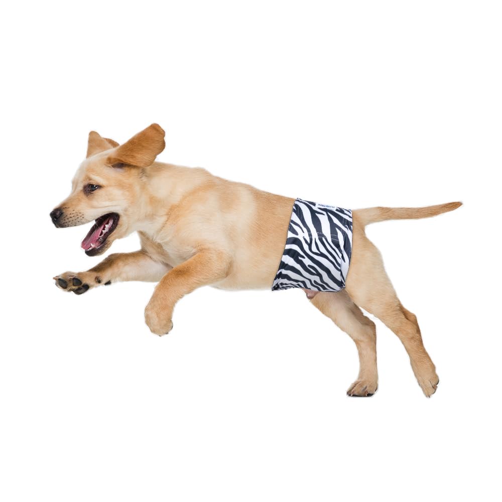 Micooyo Belly Bands For Male Dogs - 3 Pack Reusable Dog Diapers Male For Puppy Doggie, Washable Male Dog Wraps Xsmall (Xs, Grass