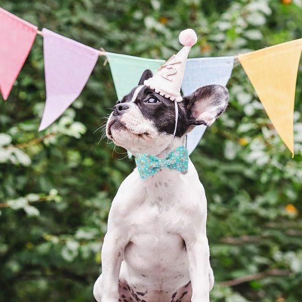 Dogwong Easter Dog Collar Rabbit Dog Collar With Bow Adjustable Bowtie Blue Bunny Dog Collars For Small Medium Large Dogs