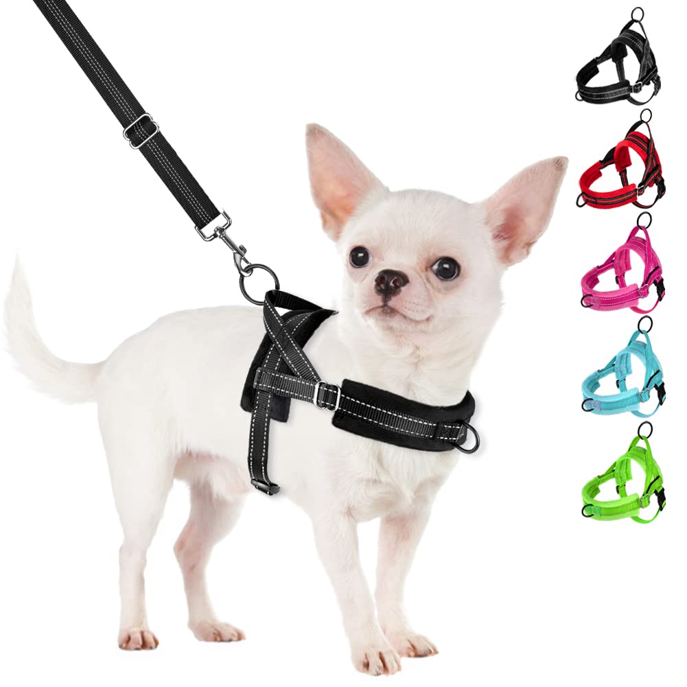 Slowton No Pull Small Dog Harness And Leash Set, Puppy Soft Vest Harness Neck & Chest Adjustable, Reflective Lightweight Harness & Anti-Twist Pet Lead Combo For Small Medium Dogs (B- Front Clip,S)