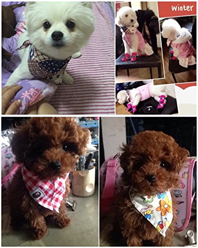 PET SHOW 10pcs Boys Small Dog Bandanas Male Cat Puppies Bibs Washable Cotton Triangle Head Scarfs Medium Dogs Bandana Photo Prop