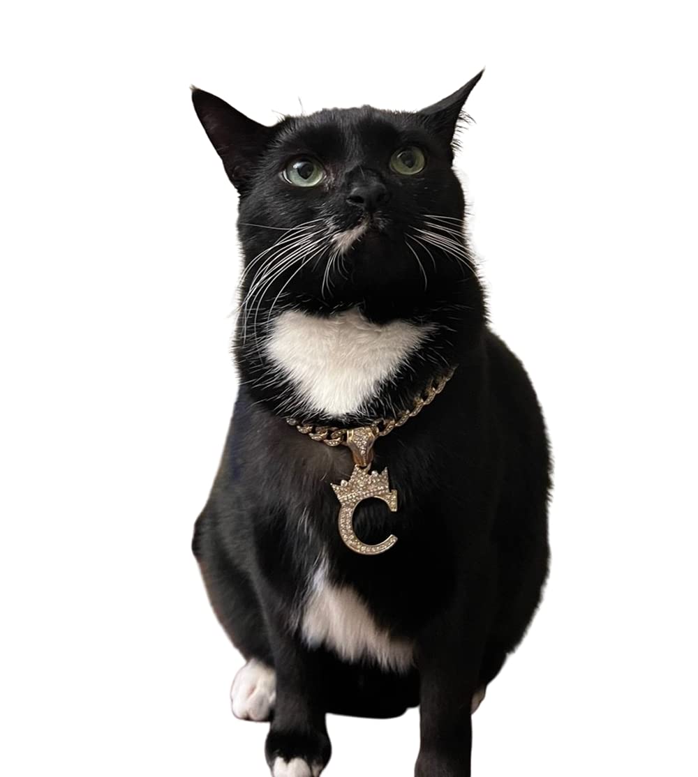 Initial Letter Cuban Chain Dog Chain Pet Chain Pet, Cat, Puppy Necklace (W, 28'')