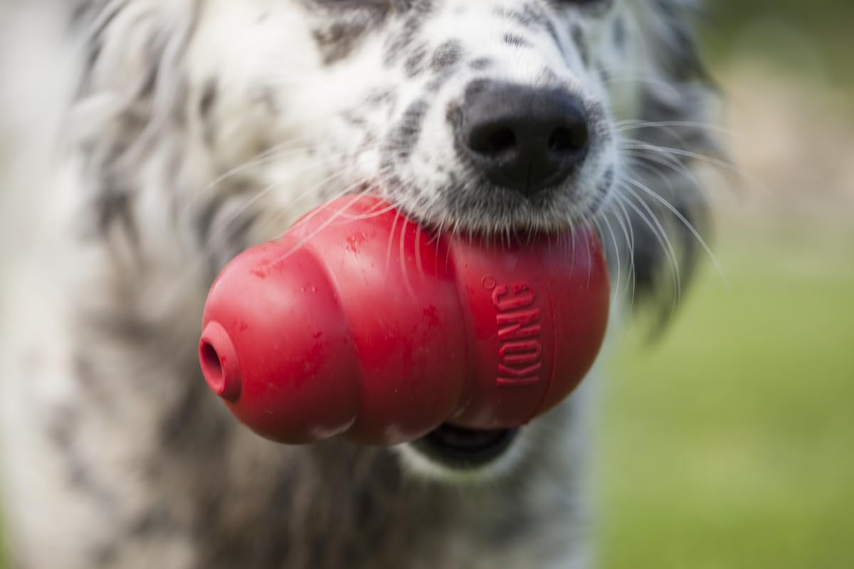 KONG Classic Dog Toy, Large Snacks Peanut Butter Snacks Large Dog Treats 11 Ounces, Combo Bundle