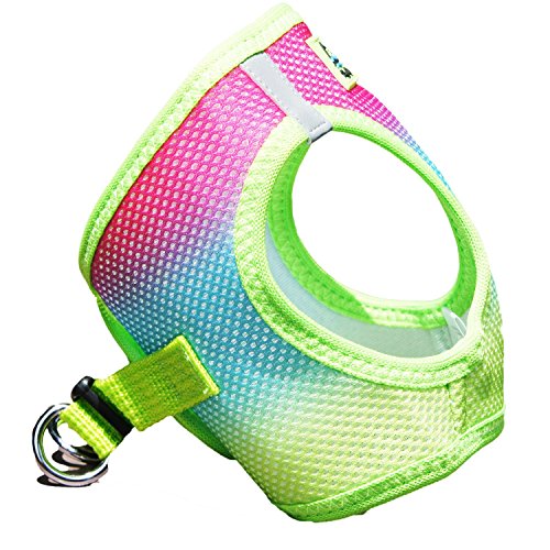 Doggie Design No Choke Dog Harness - Simple Step-In And Go Dog Vest For Small, Medium, And Large Breeds - Breathable Mesh Polyester Pet Harness - Rainbow - Xl