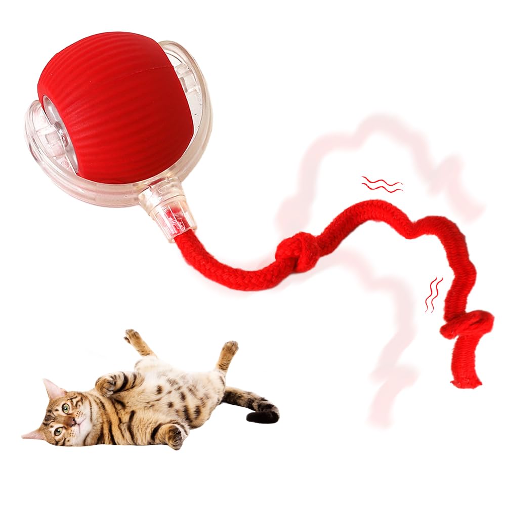 Hoaime Interactive Cat Toy Balls, 2024 Upgraded Cat Toys For Bored Indoor Adult Cats, Smart Self Rolling Interactive Dog Ball, A