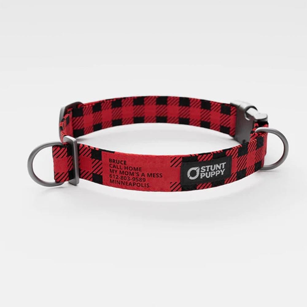 Lumberpup Buffalo Everyday Collar Large