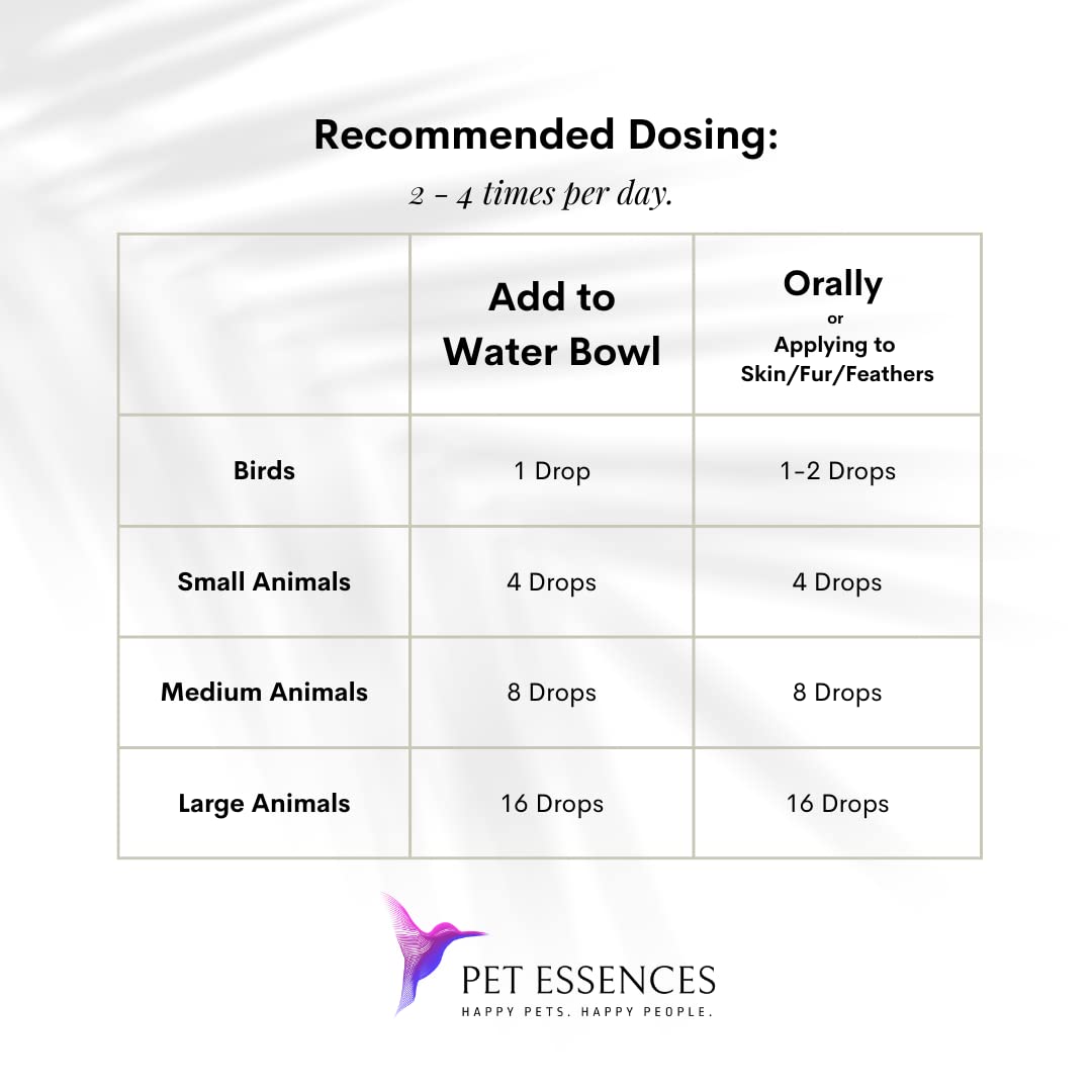 Pet Essences Thunderstorms Formula for Dogs, Cats and Horses