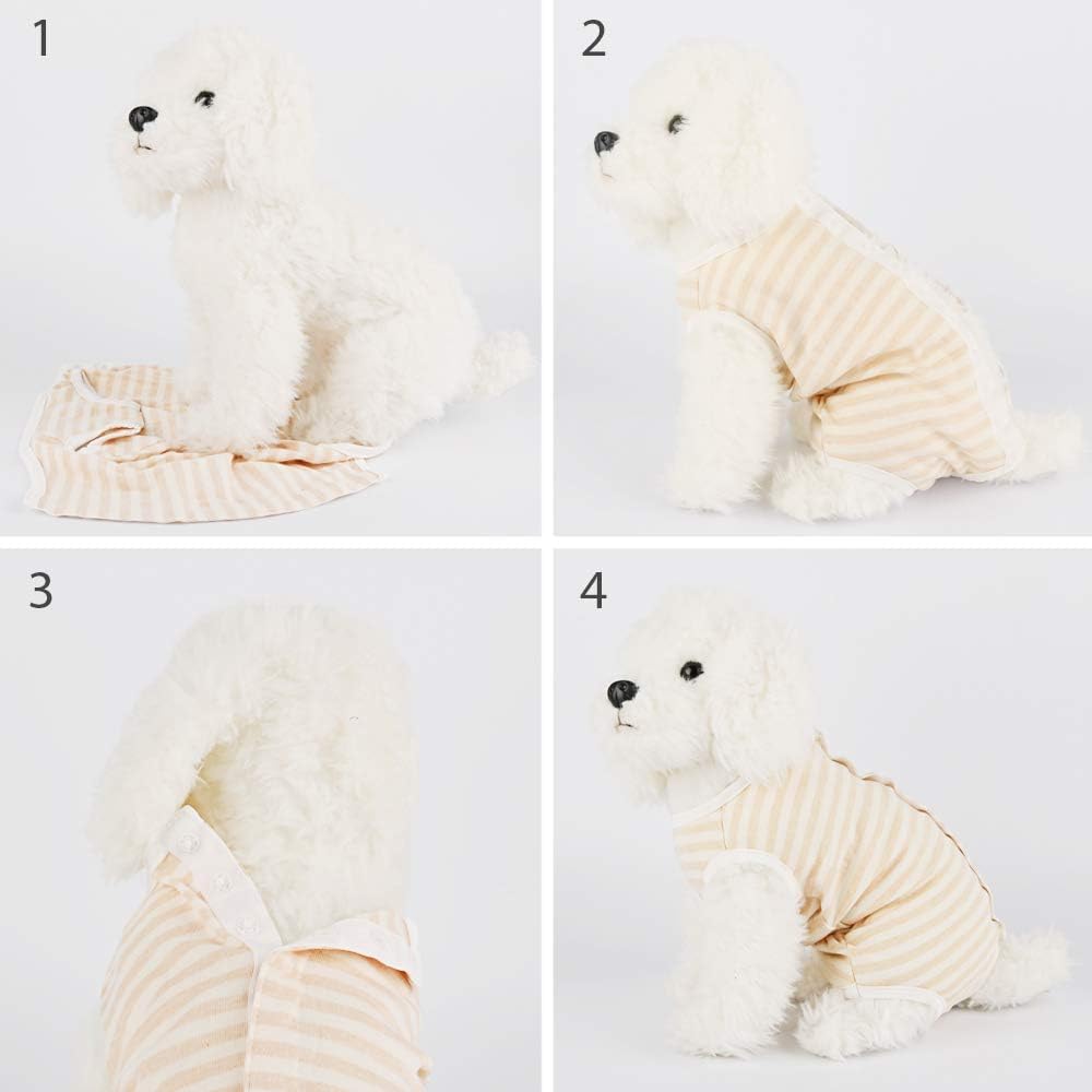 Due Felice Dog Diapers Period Suit For Female Dog Sanitary Panties In Heat To Keep Diaper On For Small Medium Dogs (S(Back Girth