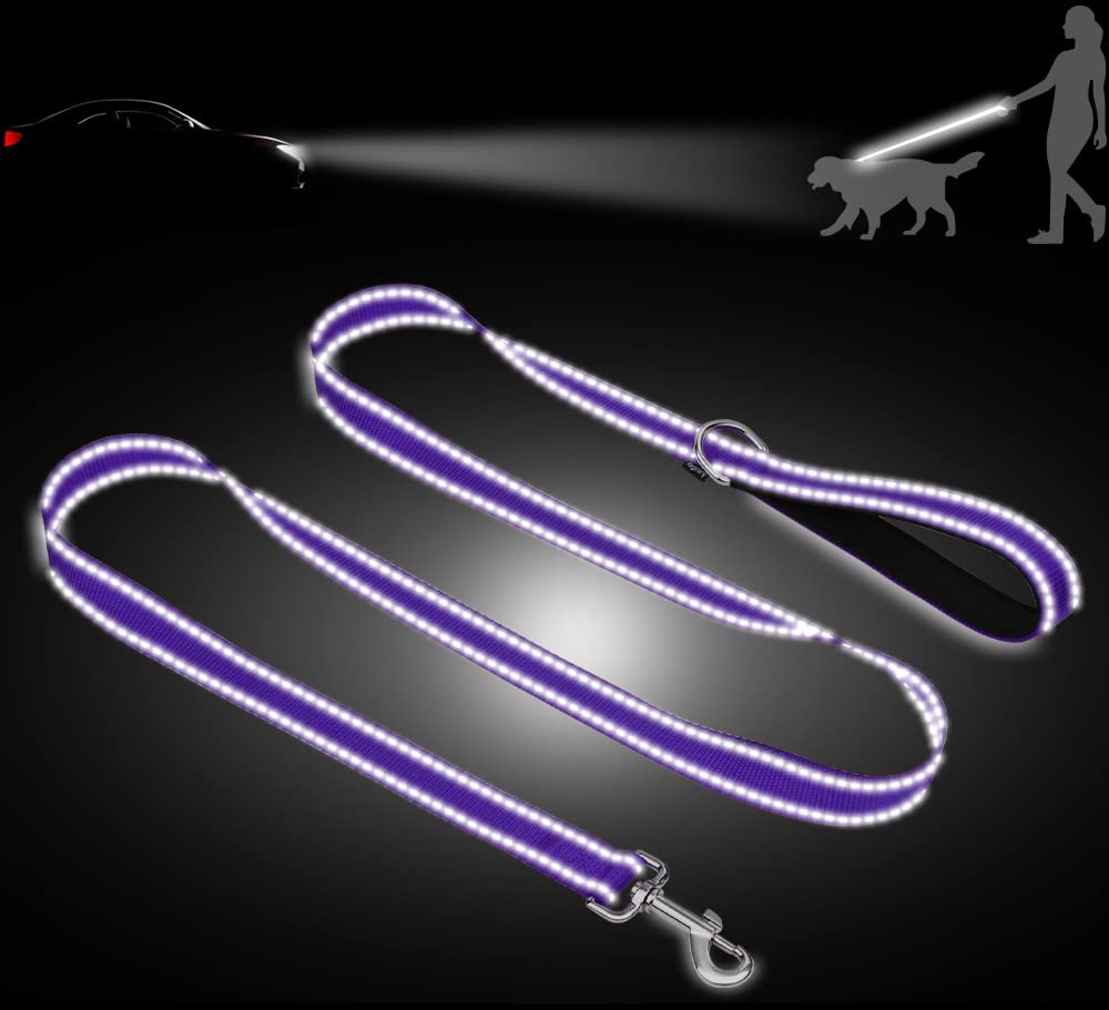 Taglory Nylon Dog Leash 6Ft, Soft Padded Handle Pet Reflective Leashes For Puppy Small Medium Dogs Walking & Training, Purple