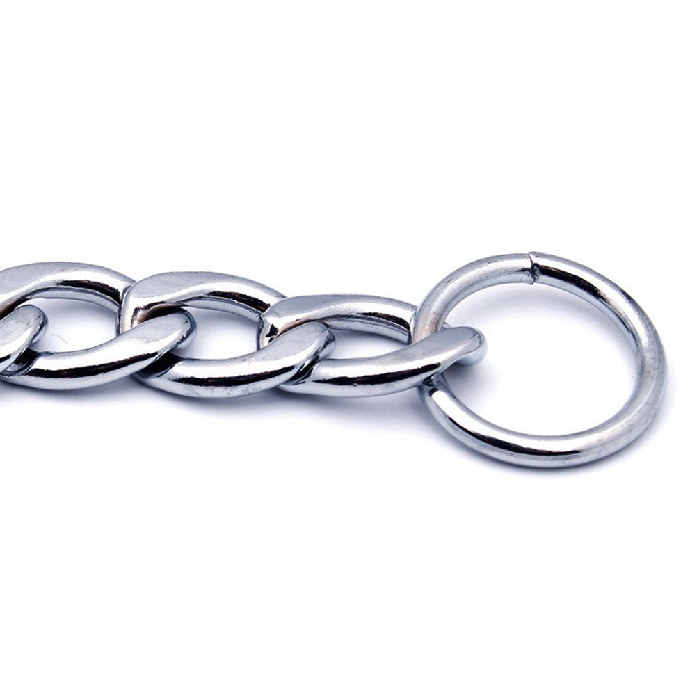 Sgoda Chain Dog Training Choke Collar, 24 In, 3.5 Mm