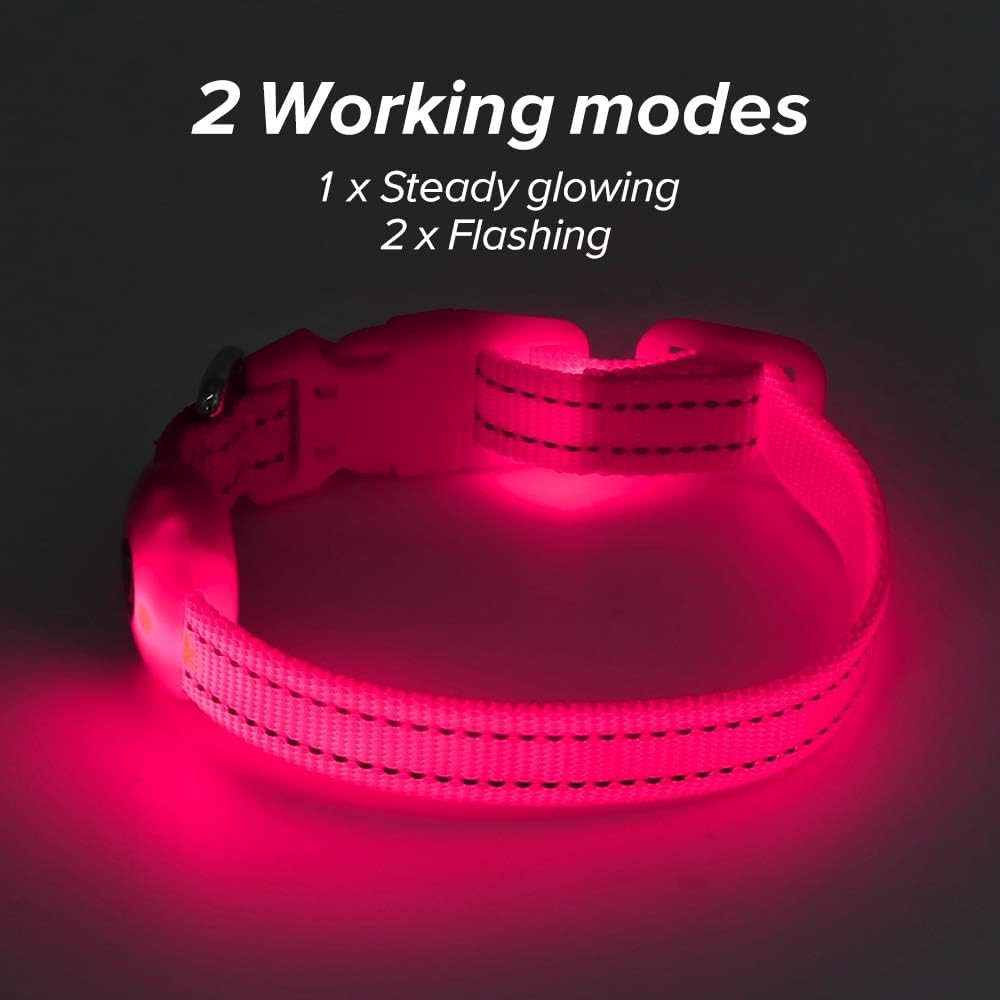 Bseen Light Up Dog Collar - Reflective Led Dog Collar Rechargeable Glowing Pet Collar For Puppies & Cats, Safety Dog Lights For