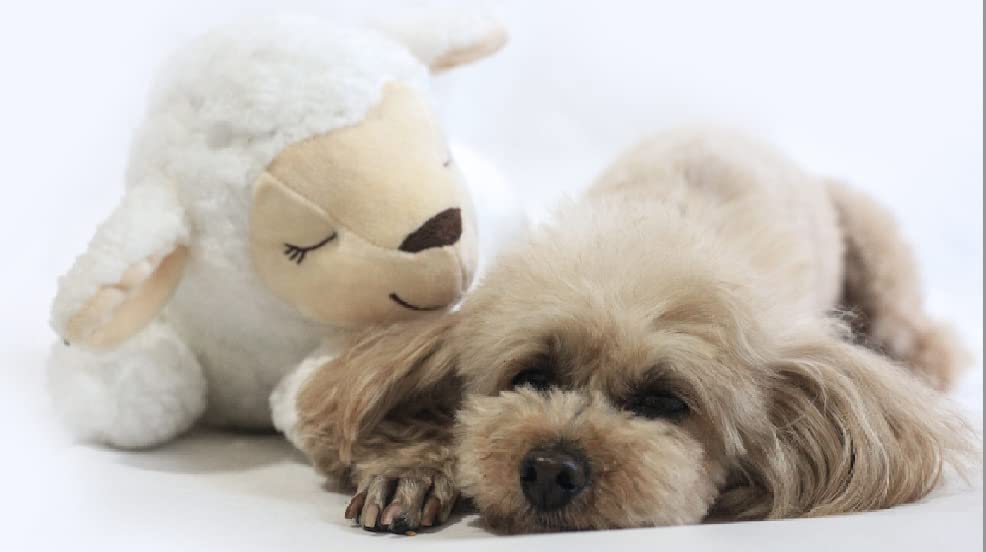 Honourhope Dog Heartbeat Toy For Anxiety Relief, Dog Soft Plush Toy Pet Calming Puppy Behavioral Training Aid Toy Pet Companion Pillow For Puppy Dog Cat Kitty Pets - Sheep