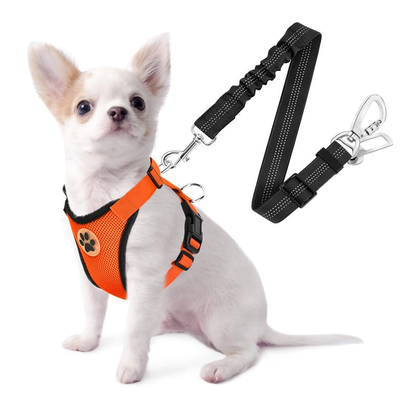 Slowton Dog Seat Belt Harness For Car, Dog Car Harness Adjustable Mesh Breathable & Dog Seatbelt Safety Tether With Elastic Bungee For Small Medium Large Pets(Orange, Double Clip, Xxs)