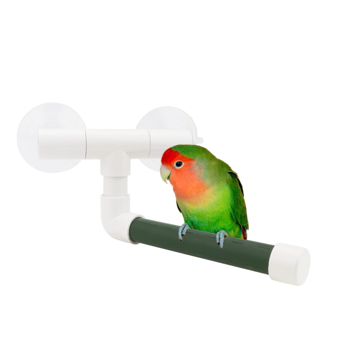 Hypeety Bird Parrot Stand Perch Shower Standing Toy Portable Suction Cup Parrot Shower Perch Bath Stands Suppllies Holder Platfo